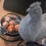 Lemummarelle76 Ξενοδοχείο Νάπολη